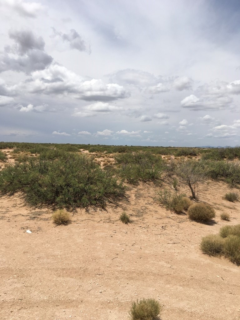 TX-Lot-10-BLK-491-Indian-River-St-Horizon-City