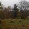 819 9th Avenue, Albany, GA