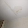 3853 E Stein Rd., La Salle, MI