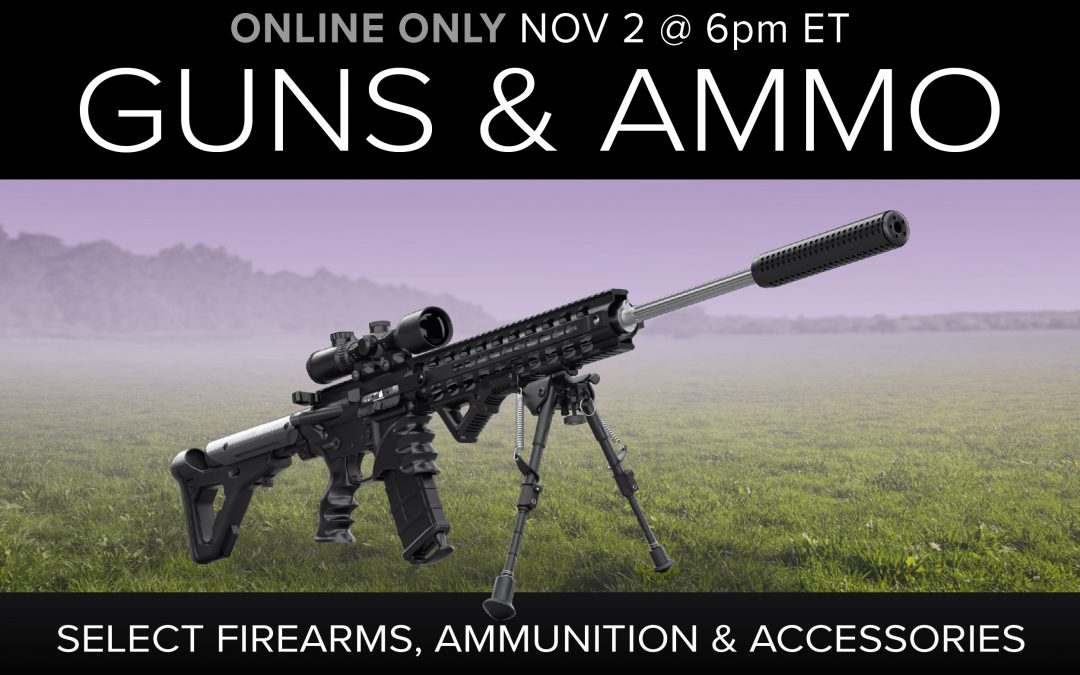 Guns, Ammo & Accessories