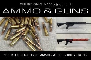 November 5 2020 caseloads ammo for sale auction