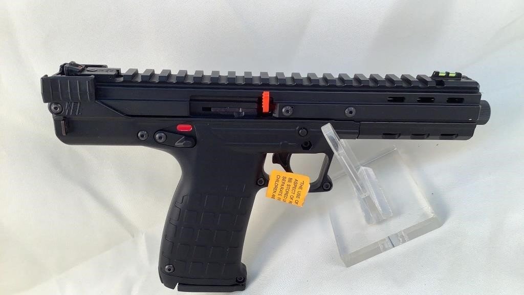 Kel-Tec CP33 .22 LR