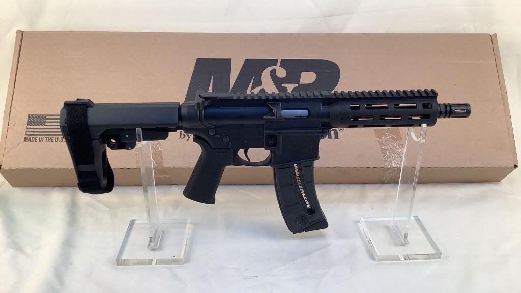 Smith & Wesson M&P15-22P 22 Long Rifle