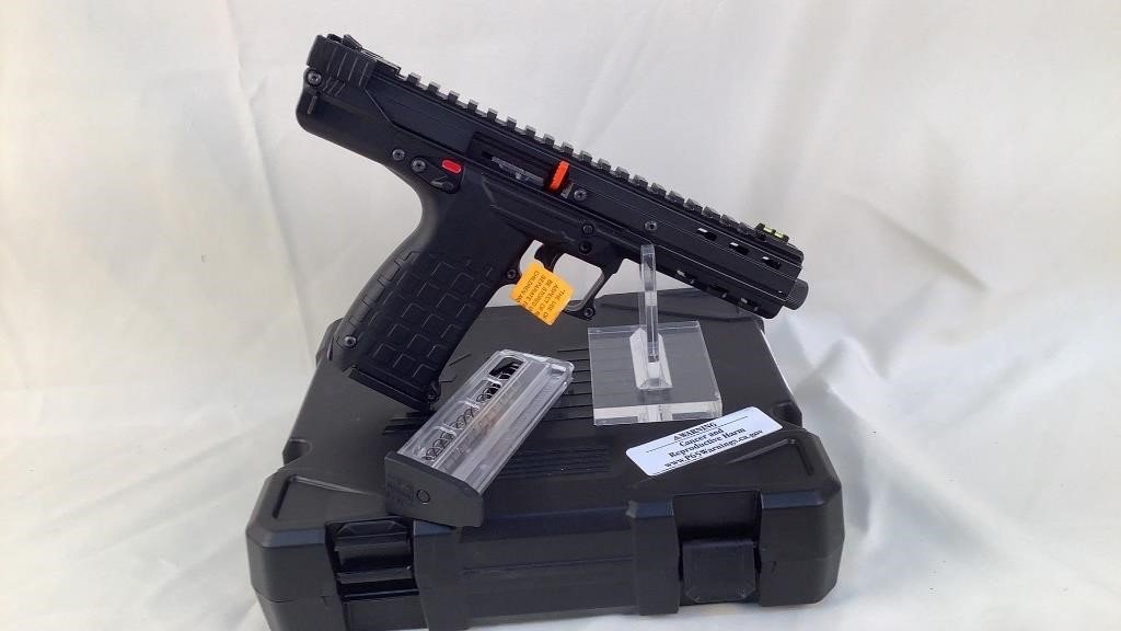 Kel-Tec CP33 .22 LR