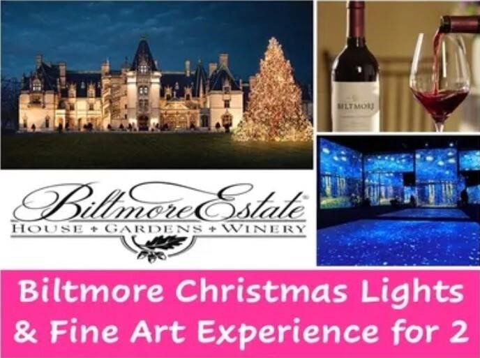 Biltmore Christmas Lights & Fine Art Experience