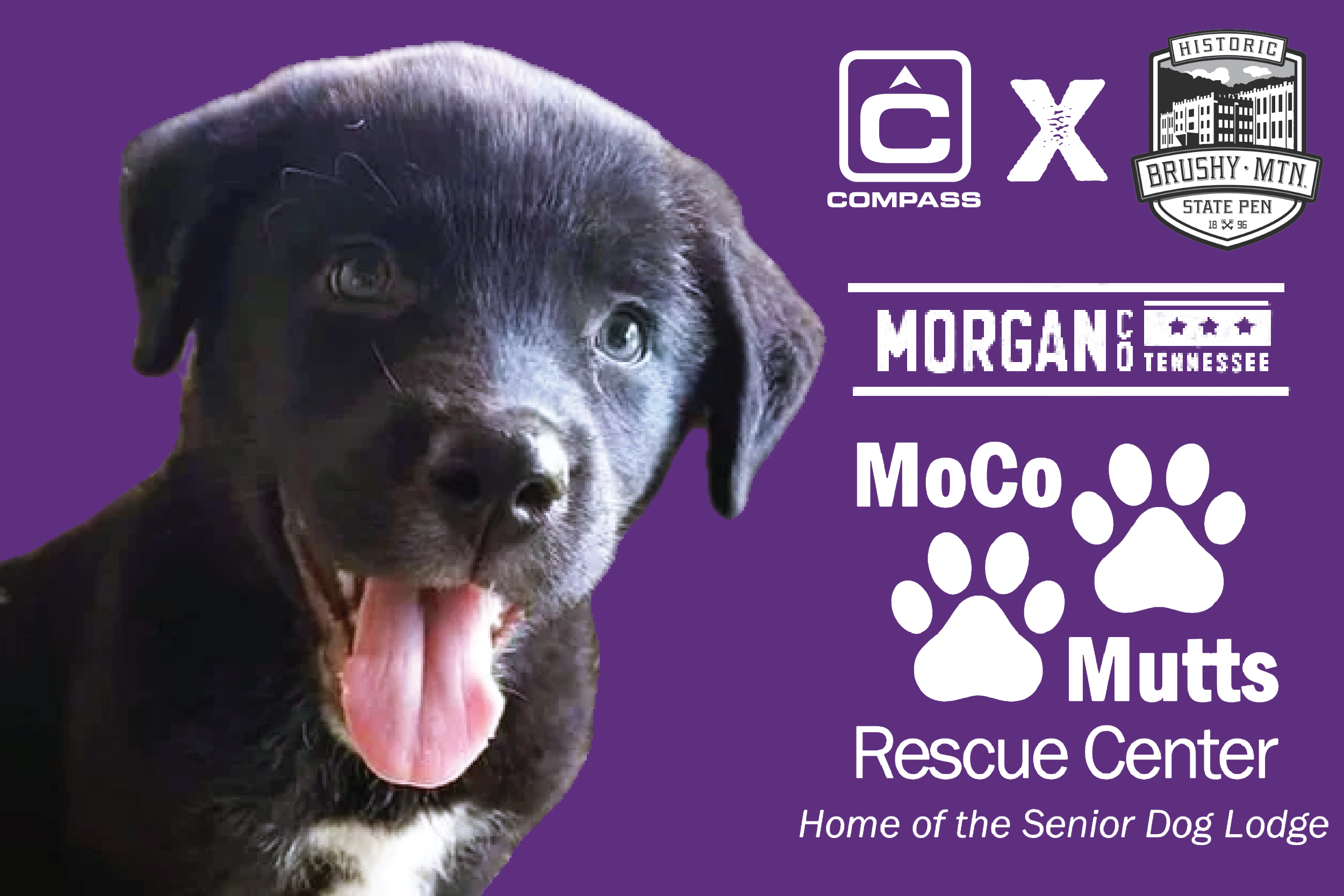 Morgans mutts shop