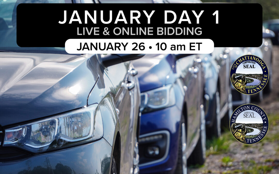 January Monthly Day 1 Auction