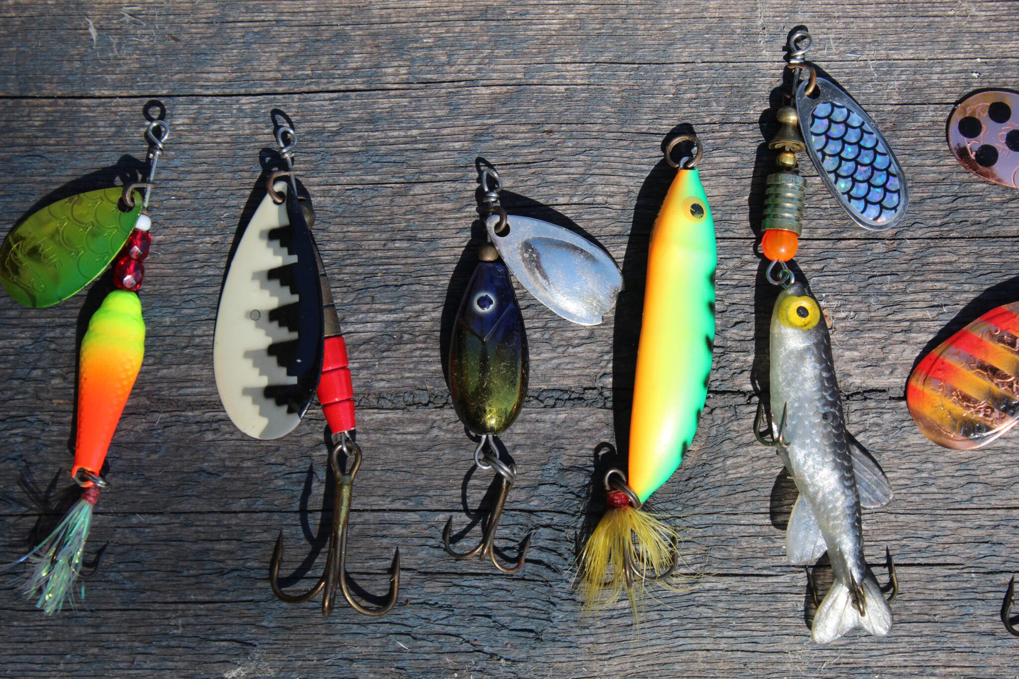 multiple colorful fishing lures