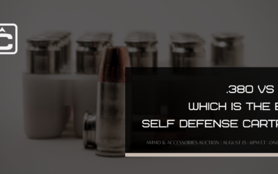 .380 vs 9mm: The Best Self Defense Cartridge 
