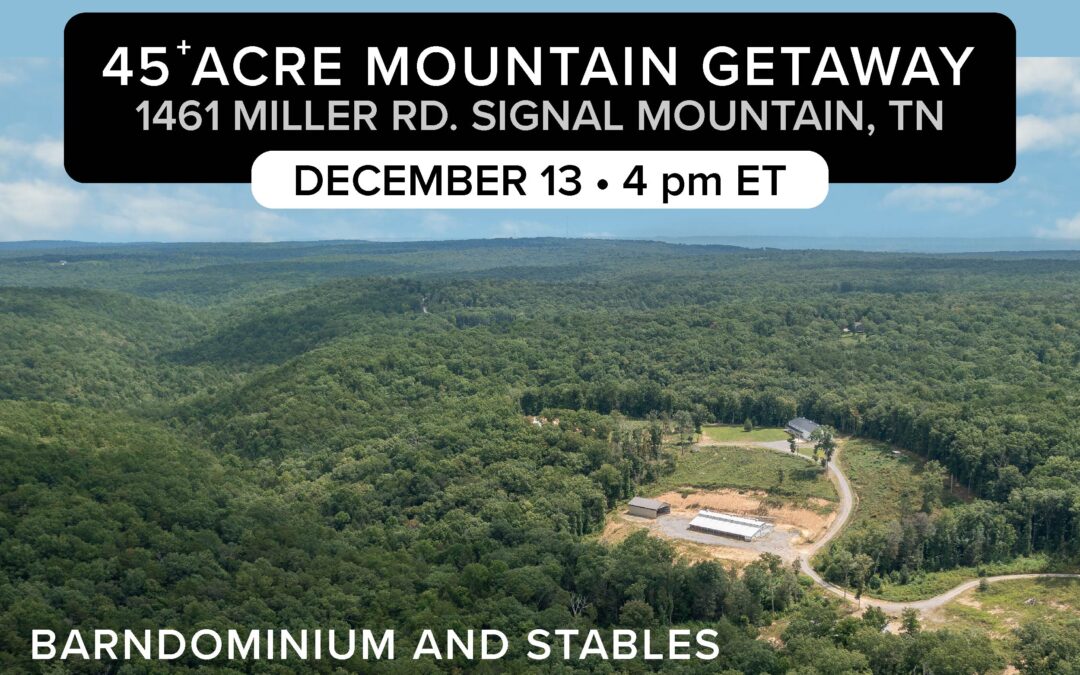 45 + Acre Mountain Getaway-Real Estate Auction
