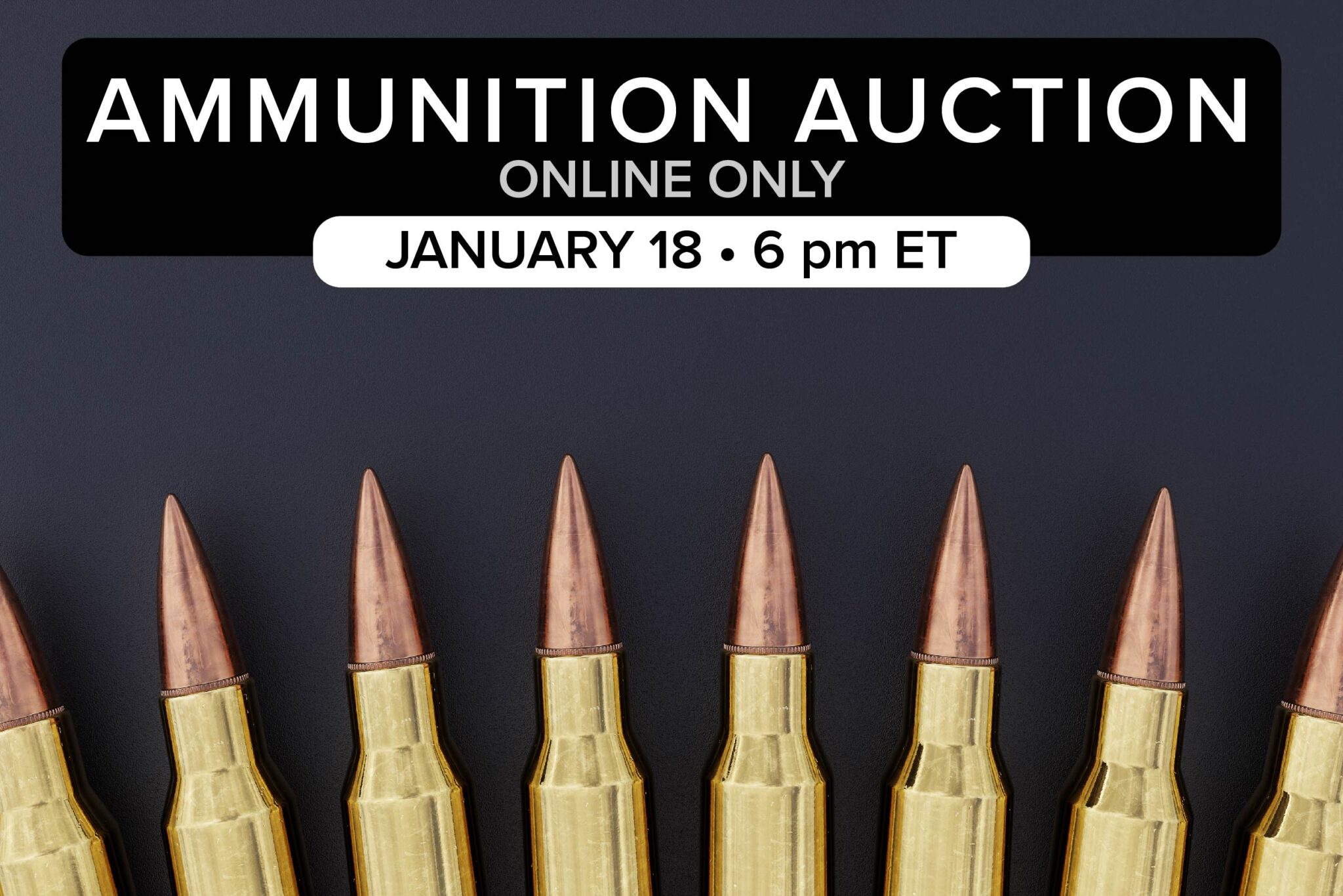 ammo in various calibers(2)